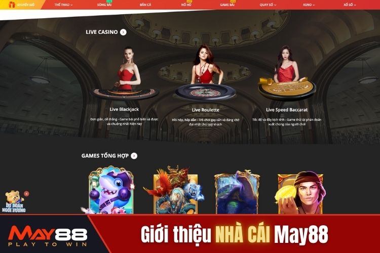 Chăm sóc khách hàng chuyên nghiệp